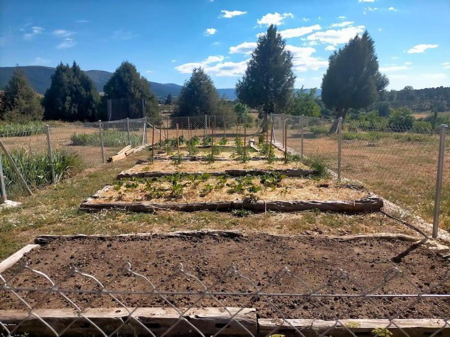 El Telar Arte Y Naturaleza Prádena Exterior photo